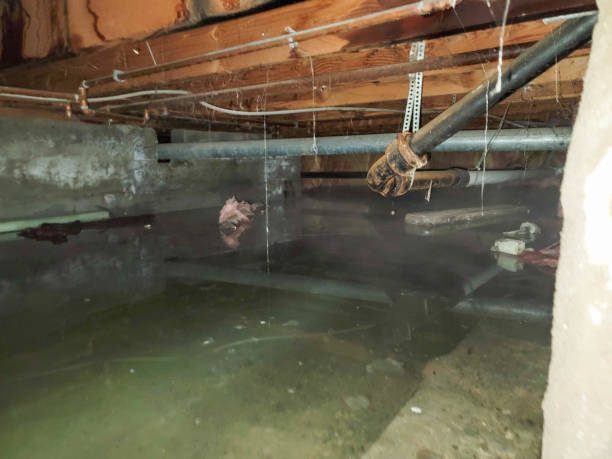 Best Water damage restoration near me  in Beachwood, OH