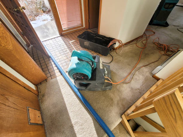 Best Mold removal after water damage  in Beachwood, OH