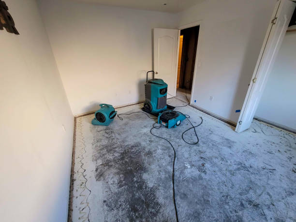 Best Basement water damage restoration  in Beachwood, OH