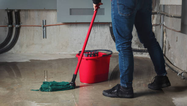 Best Flood damage cleanup  in Beachwood, OH