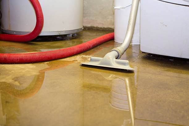 Best Flood restoration services  in Beachwood, OH
