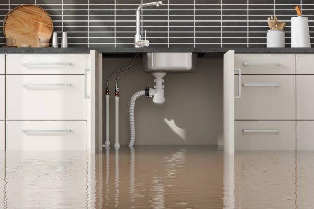 Best Flooded house restoration  in Beachwood, OH