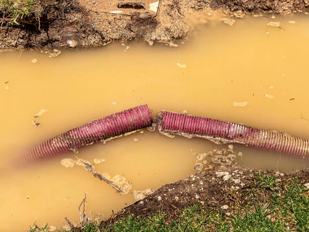 Best Water damage cleanup near me  in Beachwood, OH