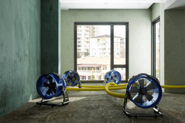 Best Commercial water damage restoration  in Beachwood, OH